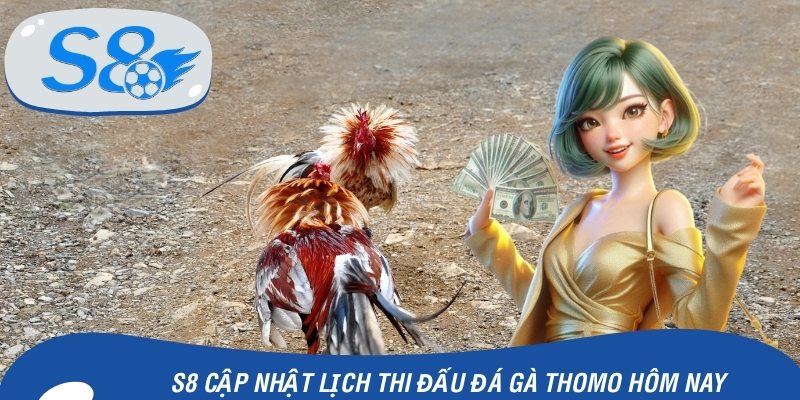 Đá Gà Thomo Hôm Nay - S8 Cập Nhật Lịch Thi Đấu Nhanh Nhất