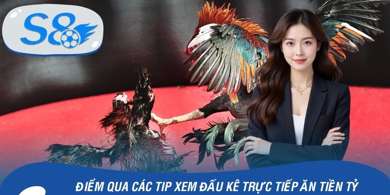 Điểm qua các tip xem đấu kê trực tiếp ăn tiền tỷ 
