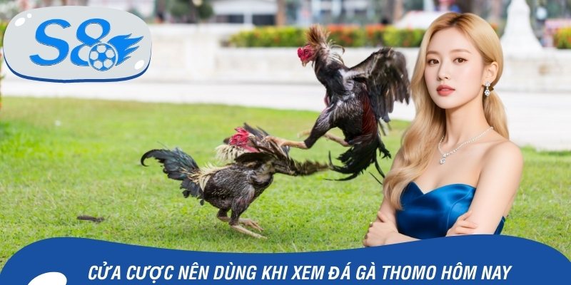 Hội viên được tham gia vào các cửa cược nào?