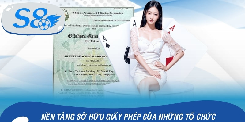 Nền tảng sở hữu giấy phép của những tổ chức nào?